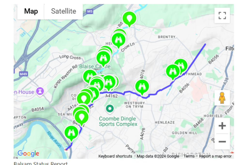 Balsam Map 2021