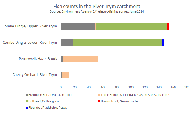 Trym Fish Survey 2014