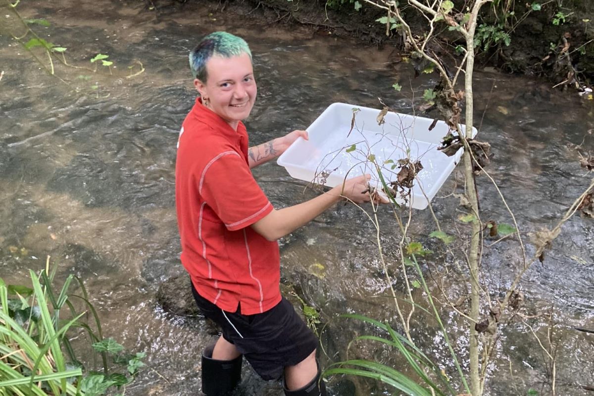 Riverfly monitoring shows positive trends