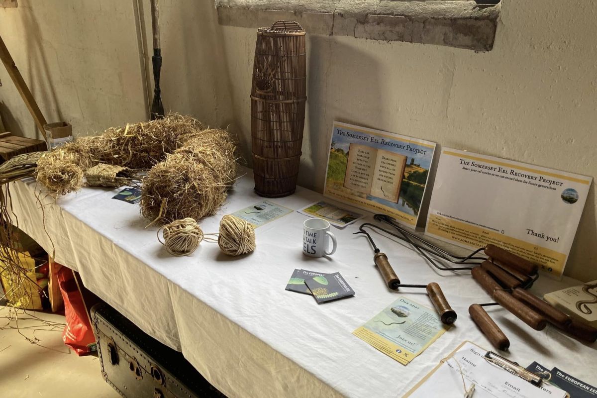 Making straw eel ropes