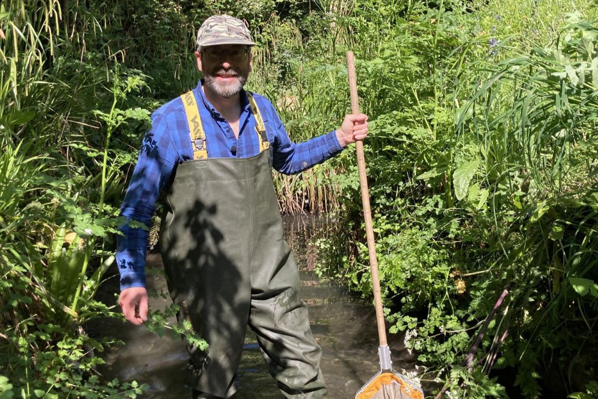 Interesting river fly sample at Cribbs Causeway
