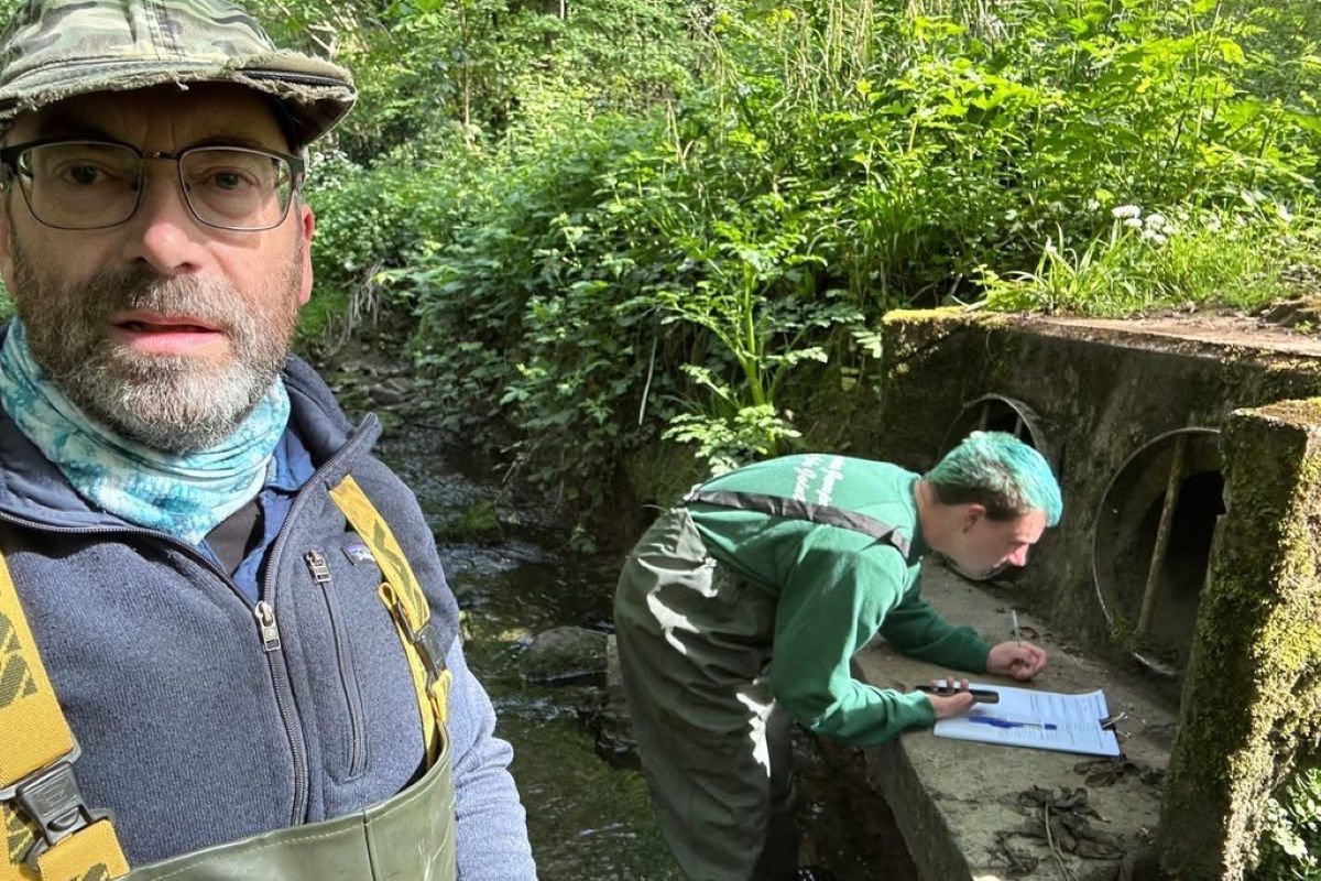 On safari in North West Bristol