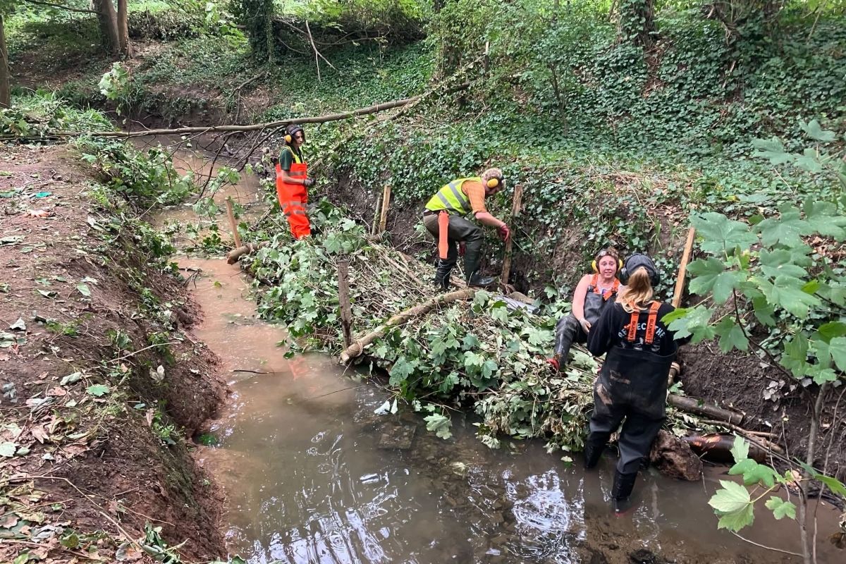 The Trym now has berms!
